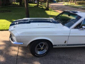 1967 Shelby GT-500 (1 of 1)