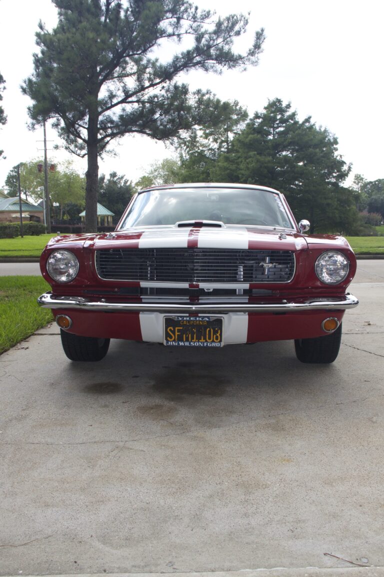 1966 Shelby GT-350